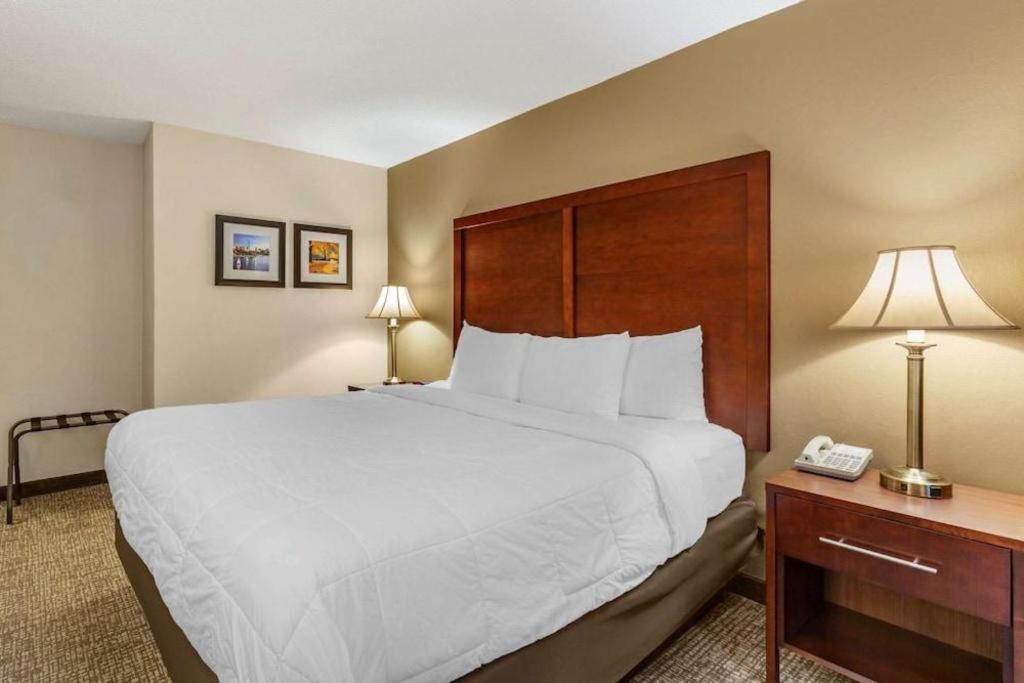 Comfort Inn Foxboro - Mansfield Foxborough Ngoại thất bức ảnh