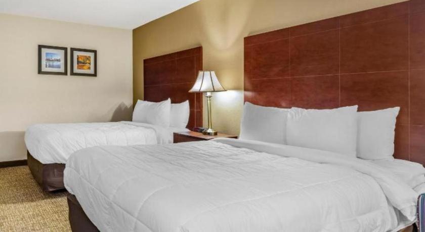 Comfort Inn Foxboro - Mansfield Foxborough Ngoại thất bức ảnh