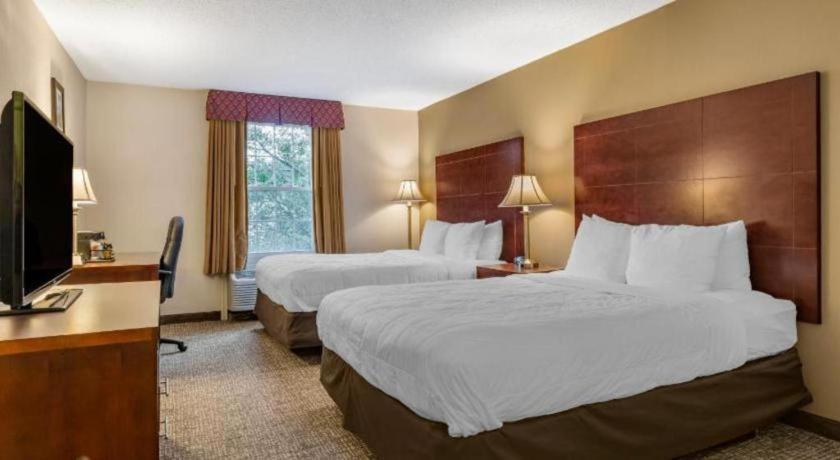 Comfort Inn Foxboro - Mansfield Foxborough Ngoại thất bức ảnh