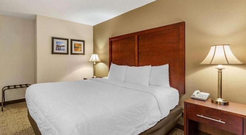 Comfort Inn Foxboro - Mansfield Foxborough Ngoại thất bức ảnh