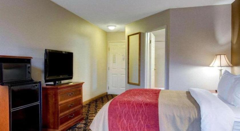 Comfort Inn Foxboro - Mansfield Foxborough Ngoại thất bức ảnh