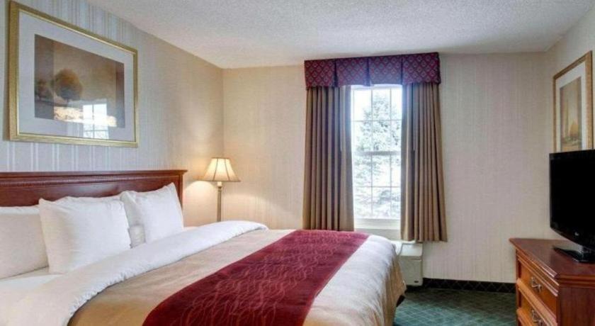 Comfort Inn Foxboro - Mansfield Foxborough Ngoại thất bức ảnh